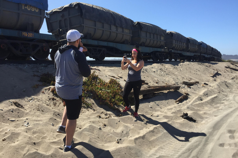 Lunch, Birdwatching in Wetlands &amp; Horse Ride from Valparaíso