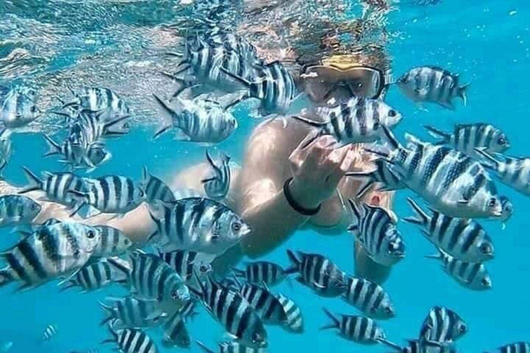 ZANZÍBAR: isla de la Prisión, natación en cuevas y Laguna Azul