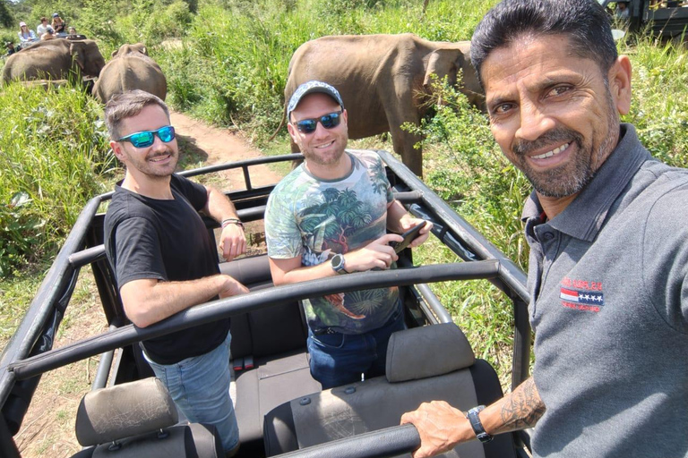 From Kandy: Hidden Temples, Elephants & Sigiriya Experience Tuk Tuk Option