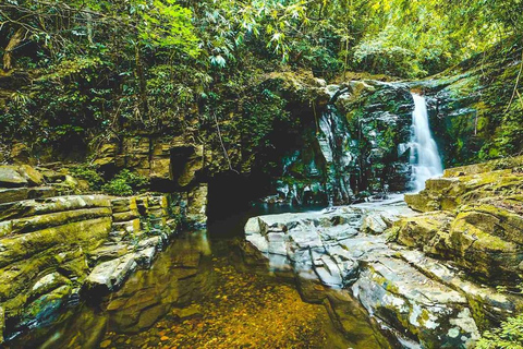 Depuis Da Nang/Hue : Excursion d&#039;une journée au parc national de Bach MaPrise en charge en charge