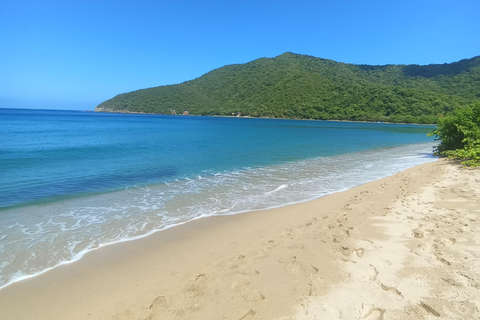 TOUR EN LANCHA RAPIDA AL TAYRONA PLAYA CRISTAL