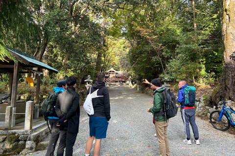 Shinrin-yoku/Forest Bathing in Yoshino