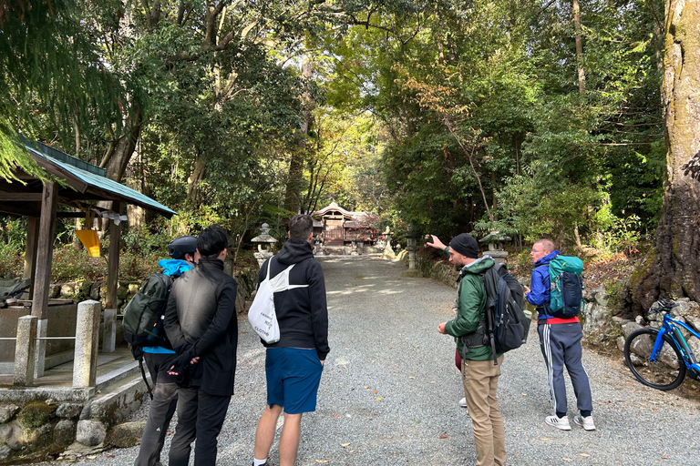 Shinrin-yoku/Forest Bathing in Yoshino