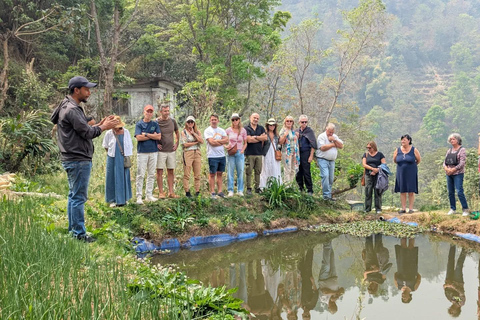 From Kathmandu: Patlekhet Permaculture Organic Farm Tour