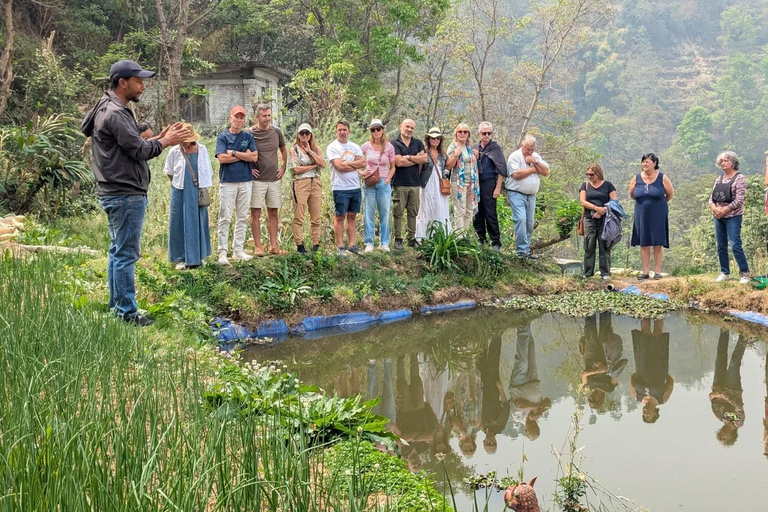 From Kathmandu: Patlekhet Permaculture Organic Farm Tour