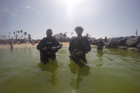 First time diving experience in Lanzarote First-time scuba diving experience in Lanzarote