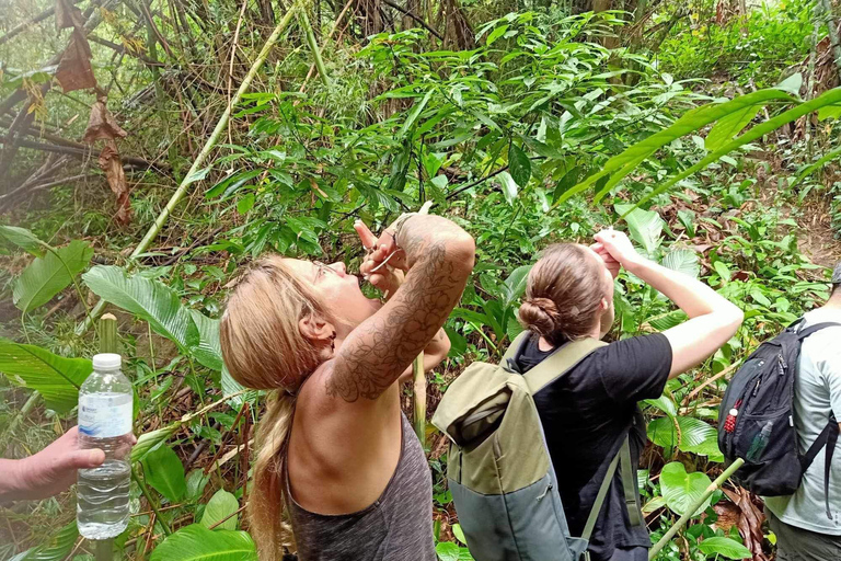 1 Day trekking : Chiang Rai popular activity,Fun in Nature.