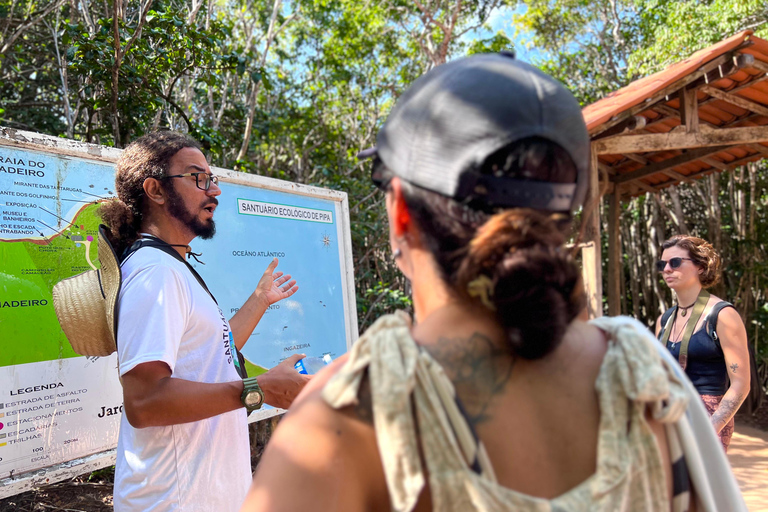 Pipa, Brazil. 3-Day Eco-Retreat, Nature & Local Culture Immersion ticket