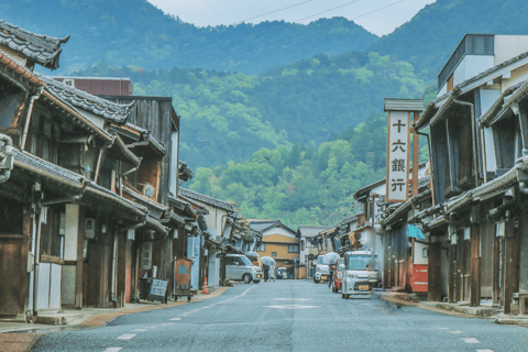 Nagoya: Monet's Pond, Mino Old Town & Shrine Day Trip