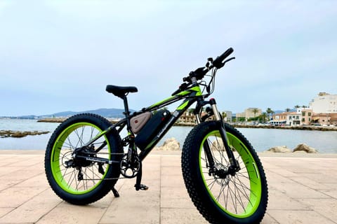 Palma de Mallorca: Exklusive Fat Tire e-Bike Vermietung