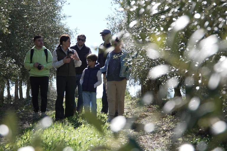 Toledo: Olive Oil Mill Tour & Tasting 4 EVOO Casas de Hualdo
