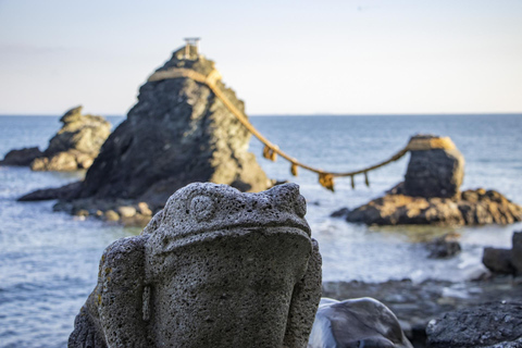 Depuis Nagoya : les sanctuaires sacrés d&#039;Ise et les côtes captivantes