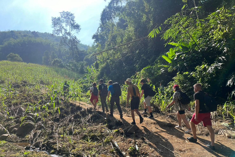 Chiang Rai: Jungle Adventure-Group Trekking & Bamboo Cooking