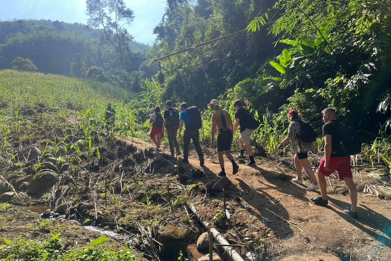 Chiang Rai: Jungle Adventure-Group Trekking & Bamboo Cooking