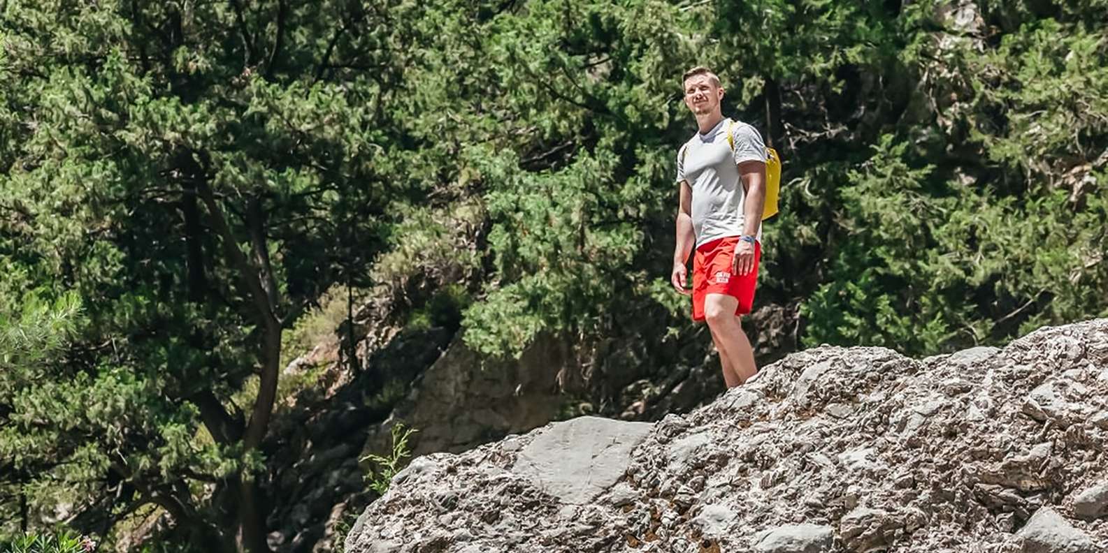 section