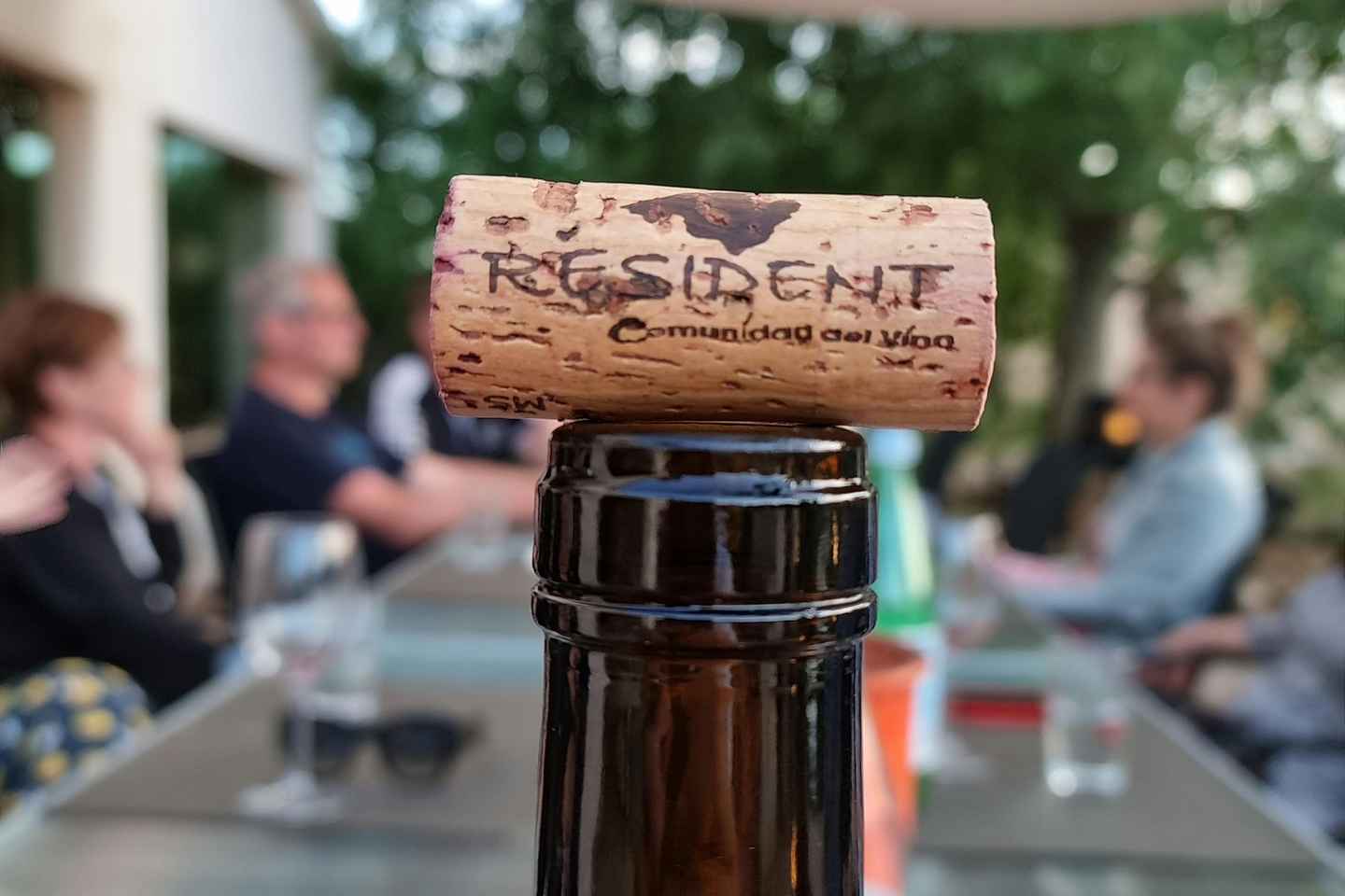 Binissalem: Individual vineyard tour and wine tasting in German