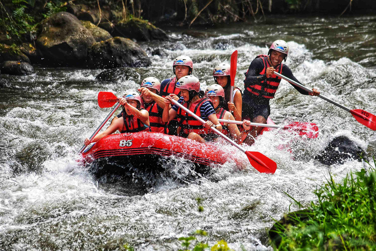 Bali: ATV Mud Fun, Rafting, Coffee & Temple Tour with Pickup ATV Only Adventure with Meeting Point (No Rafting)