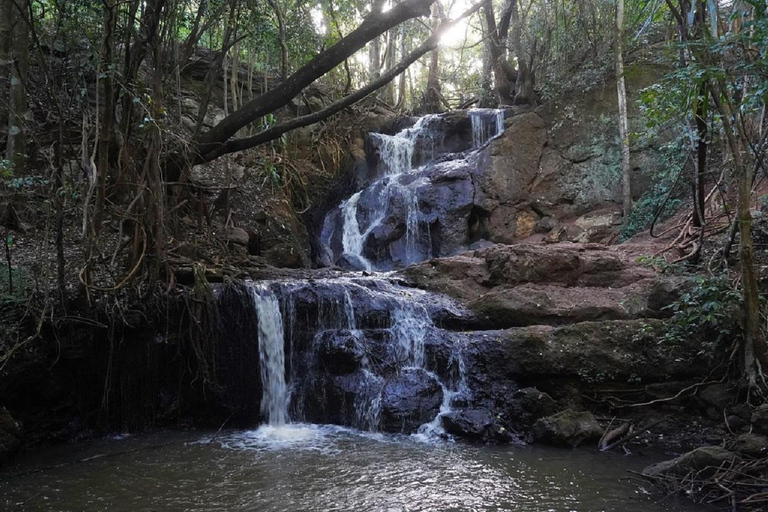 Nairobi: Trilho natural e caminhada na floresta de Karura