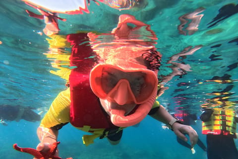 Fuerteventura: Las Playitas Schnorcheltour mit Bootsfahrt