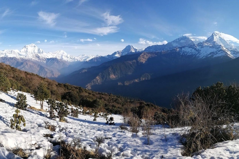 Pokhara : 4 jours de trekking privé à Poon HillPokhara : 4 jours de trekking privé à PoonHill