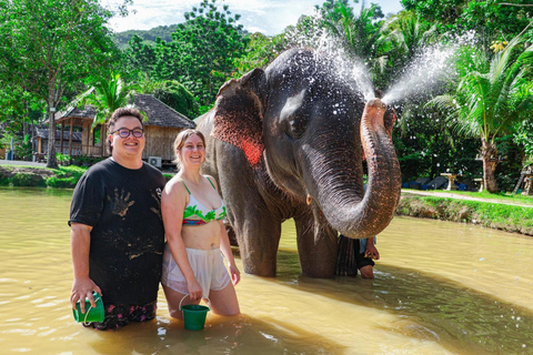 Phuket: Elephant Sanctuary Visit with Mud Spa & Workshop Afternoon: Elephant Sanctuary Visit with Mud Spa & Workshop