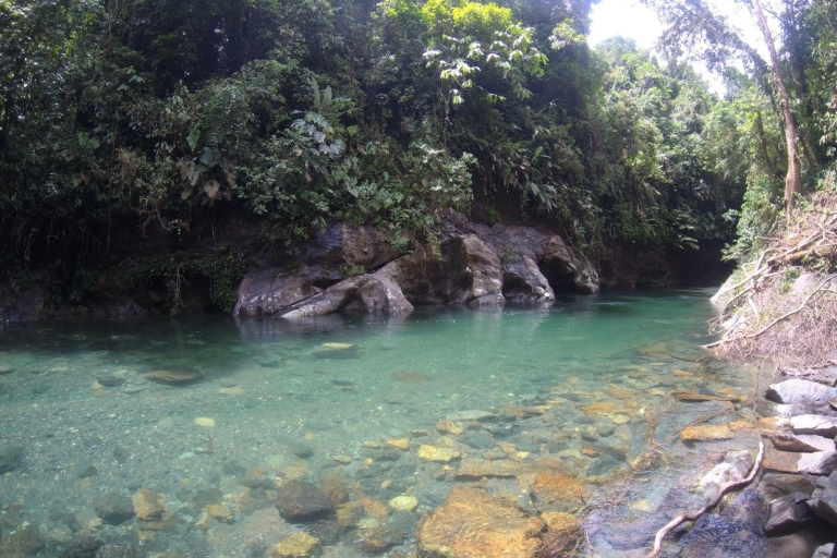 Crystal River: kristallklares Wasser, atemberaubende LandschaftenCrystal River: Das klarste Wasser in Kolumbien