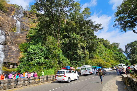 Cochin - Munnar Day Trip with Waterfalls and Tea Museum