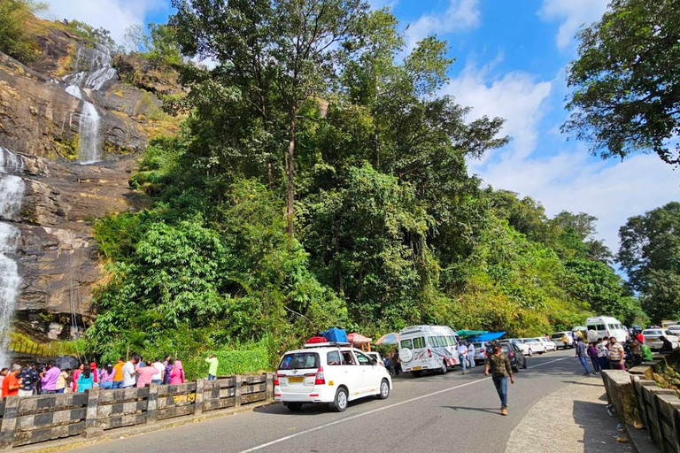 Cochin - Munnar Day Trip with Waterfalls and Tea Museum