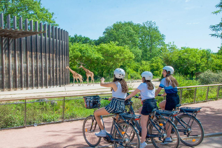 Lyon: Hyr en elcykel i 2 timmar