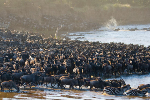 Serengeti: Safari de 5 dias na travessia do rio Mara