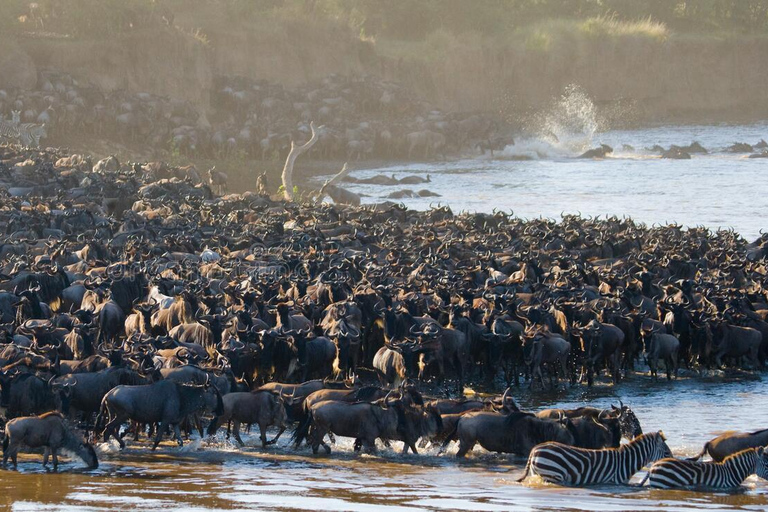 Serengeti : Safari de 5 jours avec traversée de la rivière Mara