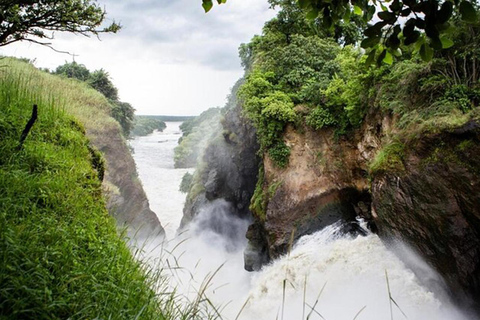 7-Day Murchison Falls, Chimps And Gorilla Trekking Uganda