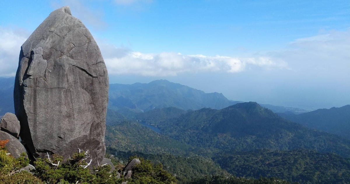 Yakushima: foresta di cedri e sentiero Shiratani Unsuikyo — Yakushima, Giappone