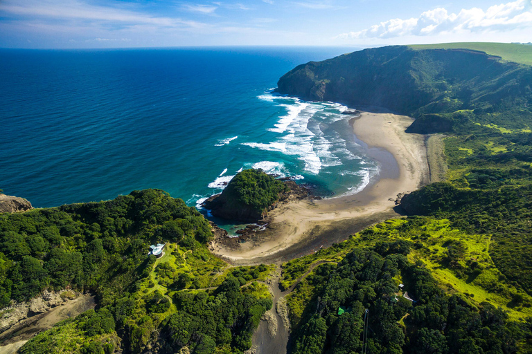 Auckland: Destaques da cidade e experiência na floresta nativa