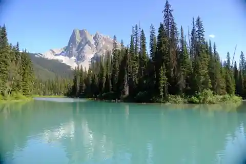 Calgary: Emerald Lake & Takakkaw Falls Small Group Tour