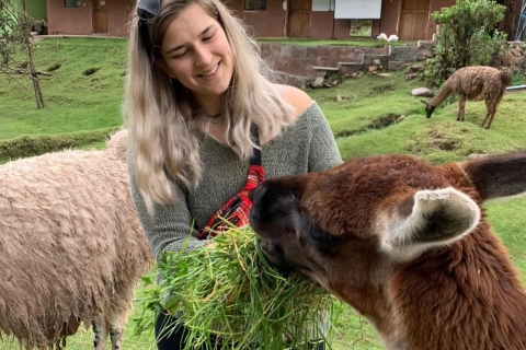 Cusco: Sanktuarium uratowanych zwierząt "cochahuasi"Prywatna wizyta