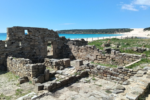 Tarifa: Baelo Claudia Guided Tour & Roman Dinning Experience