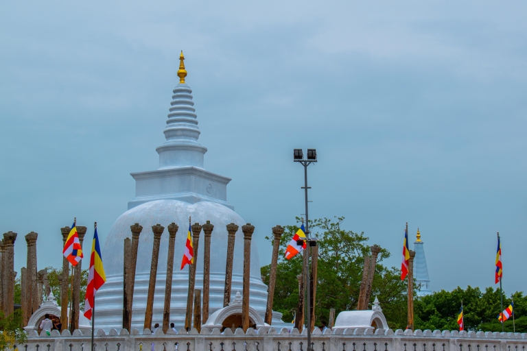 Au départ de Colombo : Héritage du Sri Lanka Circuit de 5 jours au Sri Lanka