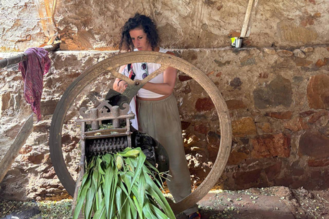 Excursión a Abhaneri y Templo de los Monos desde Jaipur