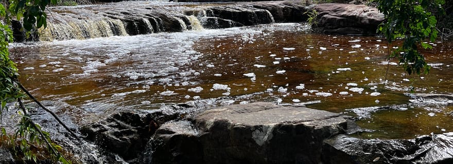 Kampot : Montagnes de Bokor – Excursion d'observation des gibbons