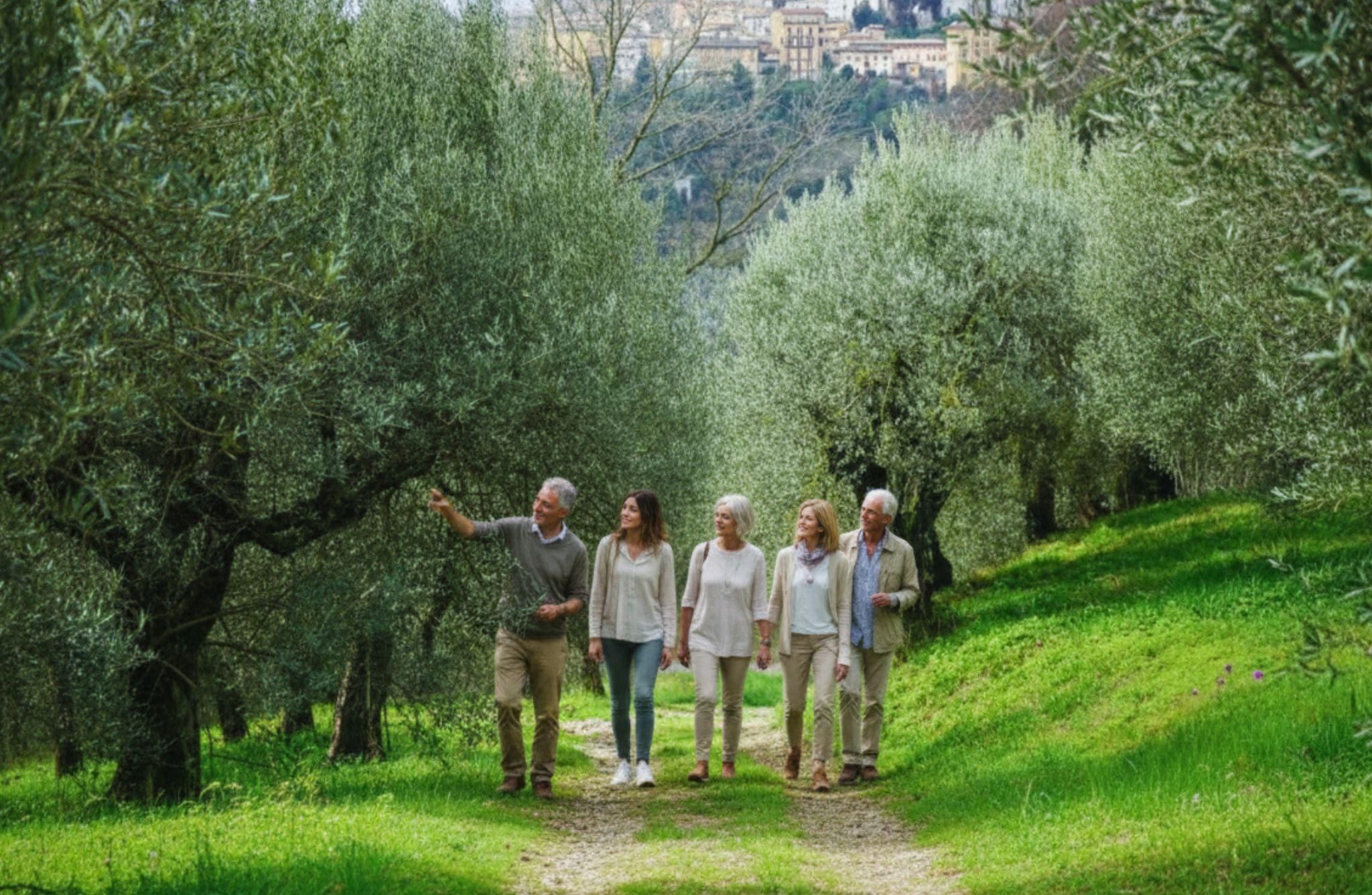 Olivenölverkostung & Führung durch die Mühle in Perugia