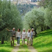 Olivenölverkostung & Führung durch die Mühle in Perugia
