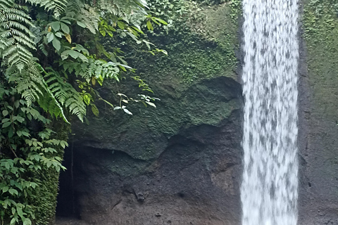 ubud trip monkey forest sanctuary