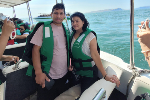 Ica: Full day to the Ballestas Islands and the Paracas National Reserve Ica: Full Day to the Ballestas Islands and Paracas National Reserve