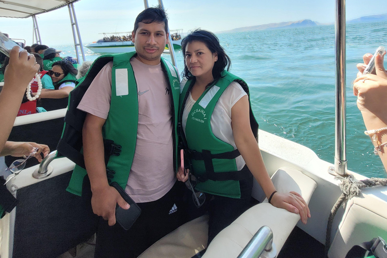 Ica: Full day to the Ballestas Islands and the Paracas National Reserve Ica: Full Day to the Ballestas Islands and Paracas National Reserve