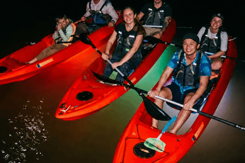 Florida: LED Night Kayak Tour with Comb Jellies Clear Bottom Kayak Night Tour