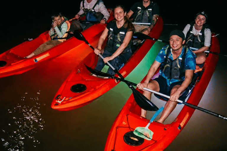 Florida: LED Night Kayak Tour with Comb Jellies Group Tandem Clear Bottom Night Tour
