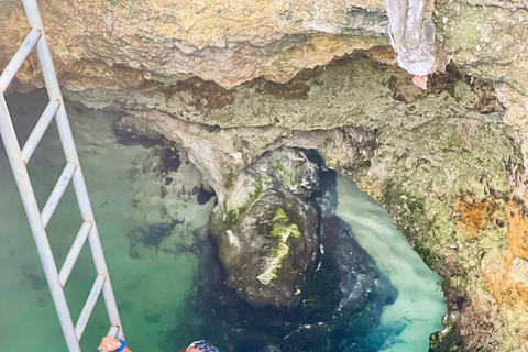 Negril Marihuana Farm, Mineral Spring en Rick's Café TourVan Negril