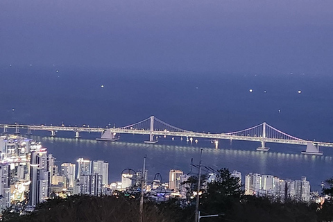 Busan Night view tour : Yacht, Hwangnyeongsan mountainChinese speaking tour guide