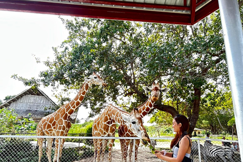Coron: Calauit Safari Adventure